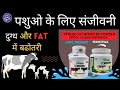 Veterinary Product Result AWPL 9549477444 Dilip Singh Rathore 9549477444 Dilipsinghrathore