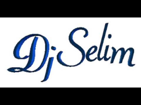 Dj Selim Mega Mix 2016