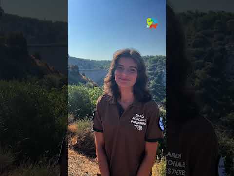 🌳 La garde régionale forestière protége nos massifs