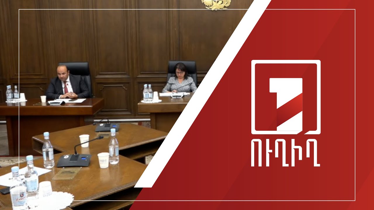 2024-ի պետբյուջեի կատարողականը՝ ԱԺ մշտական հանձնաժողովների համատեղ նիստում | ՈՒՂԻՂ
