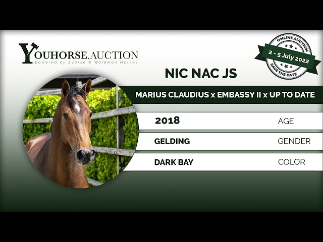 Nic Nac JS