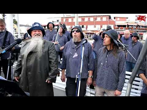 Warnemünde am 21.07.2023 die Möwe und die Ölmützen Teil 7