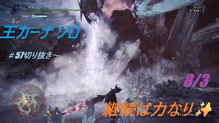 王カーナソロの成長Vrog 3 自分のペースでのんびり楽しもや✨