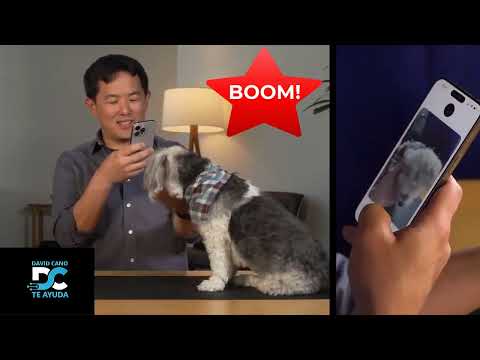 ¡ChatGPT Habla con Perros! 🐶 | Inteligencia Artificial Increíble | chatgpt4o