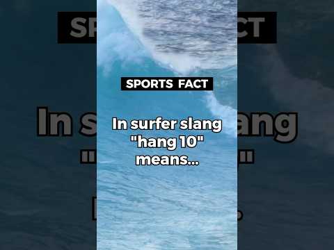 Hang Ten and Drop In: Unveiling the Epic Surfer Slang Fact You Never Knew! 🌊🤙#shorts