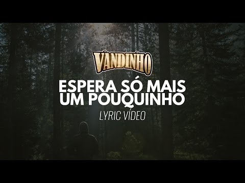 Vandinho - Espera só mais um pouquinho (VÍDEO LETRA)