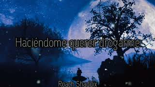 Papa Roach - Orange Drime Palms. ''Sub. Español''.