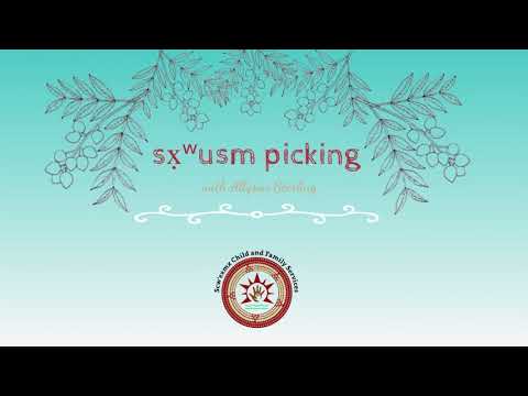 (Soap)Berry Picking with Allyson Sterling