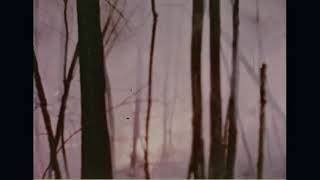 Jai Paul- BTSTU (playing from another room)