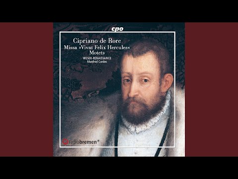26 Motets (Excerpts) : No. 12, Agimus tibi gratias