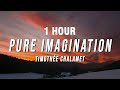 [1 HOUR] Timothée Chalamet - Pure Imagination (Lyrics) from Wonka