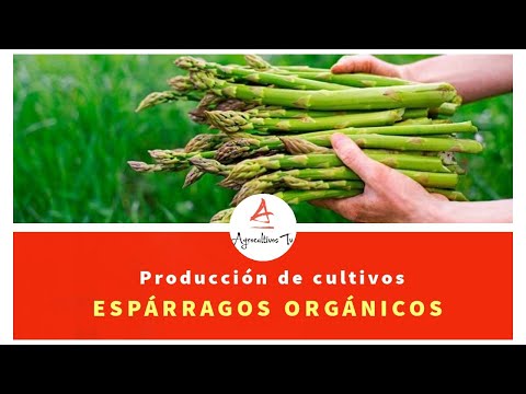 , title : '#3.ESPARRAGO: PRODUCCIÓN ORGÁNICA DEL ESPÁRRAGO'