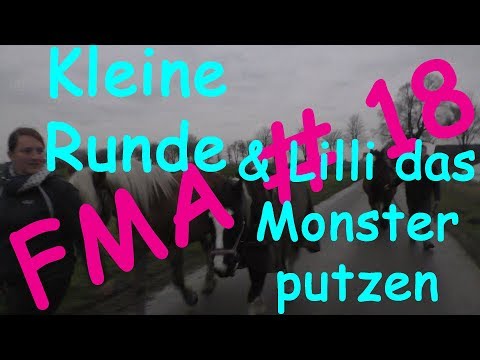 FMA #18 | Kleine Runde & Lilli das Monster putzen
