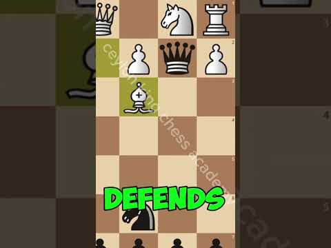 opening trap fight 53👌👌 #chesssinhala #chess #gambit #chesslessons #checkmate #chesstrickssinhala