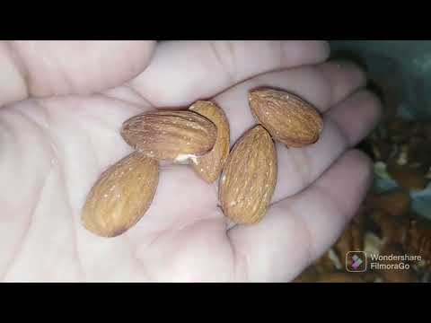 Custurd ice-cream short recepi|| Daily routine wd hajra