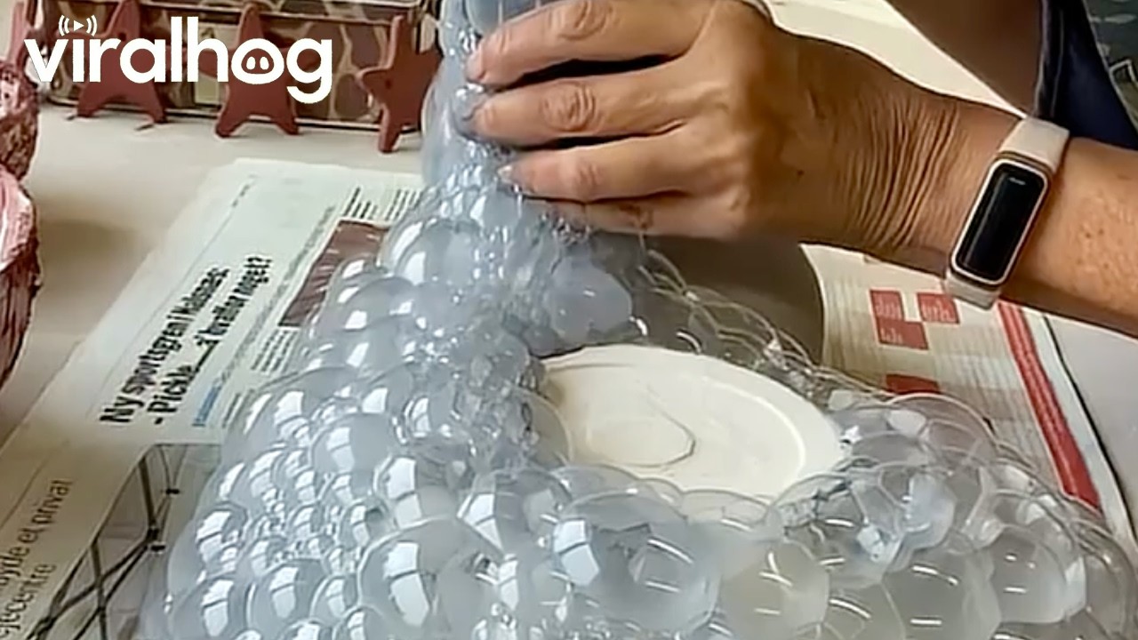 Artist Creates Ceramic Bowl Patterns Using Bubbles || ViralHog