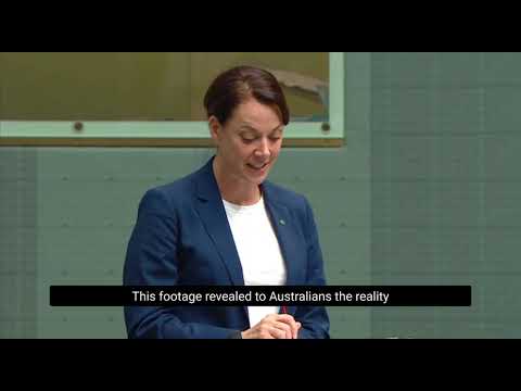 My speech in support of a ban on live sheep exports