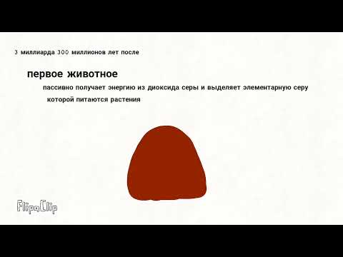 Биосфера на Венере /спекулятивная биология инопланетная биосфера 2 часть 