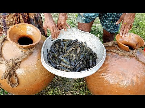 Unusual Fishing | Trapping Huge Country Fish Using Big Pottery Pot | Big Pot Fish Catching