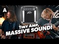 Small Simple Amp Massive Sound Peavey Decade Too Josh Homme Medley