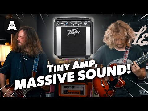 Peavey Joshua Homme Signature Decade Too 10-Watt 1x8" Guitar Speaker Cabinet 2025 - Present - Black / Silver image 6