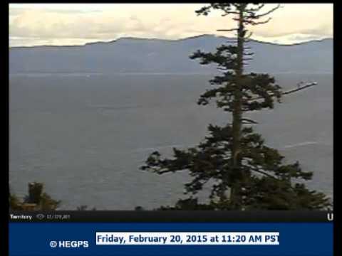 2 20 1118 eagle off inland and back bst; fly by to the right; 1121 another fly by right