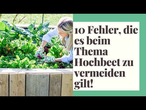 10 mistakes to avoid when it comes to raised beds!