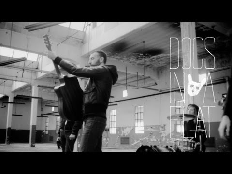 Broken Bones - Dogs In A Flat - Official Videoclip