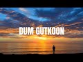 Dum Gutkoon | Lyrics | Hum Do Hamare Do | Rajkummar, Kriti |Sachin-Jigar|Master Saleem Divya|Shellee
