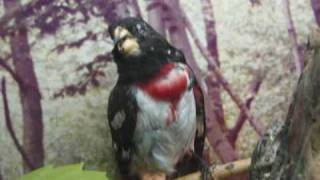 433(hypothetical situation) [sinch cover]