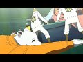 Heart Pirates Amv Piraten