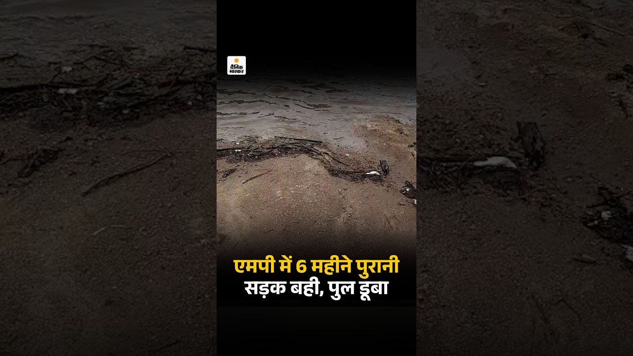 Weather update : एमपी में 6 महीने पुरानी सड़क बही, पुल डूबा,  यूपी के 19 जिलों में बाढ़