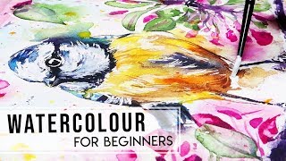 BEST Watercolour Advice for Beginners
