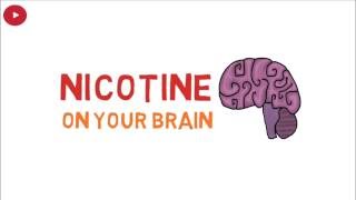 effects of nicotine on your brain