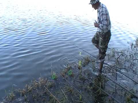 sarulesti cu sturioni4