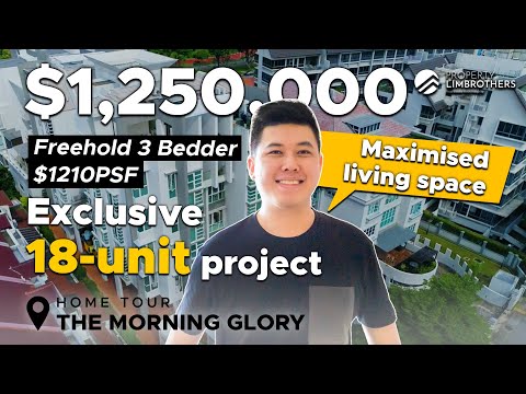 The Morning Glory: Besichtigung eines 3-Zimmer-Hauses mit Eigentumswohnung in D19 | 1,25 Mio. USD...