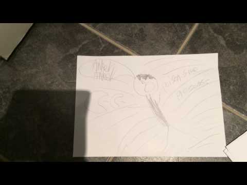 Official ankerboy logo