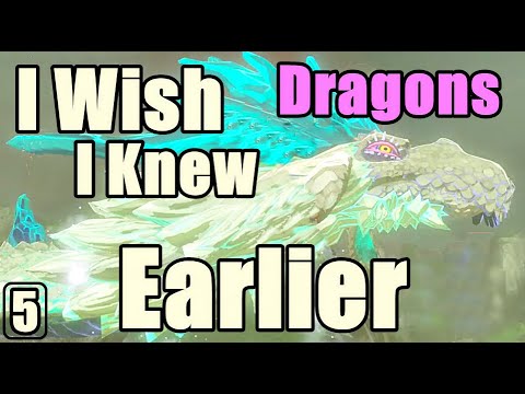 I Wish I knew Earlier Zelda Breath of The Wild #5 Dragons BoTW