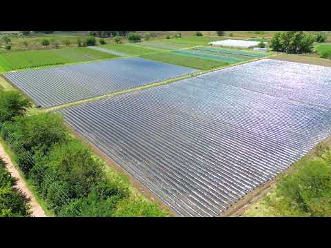 VENTA FRACCION 9.1 HECTAREAS ZONIFICACION CR1 PILAR