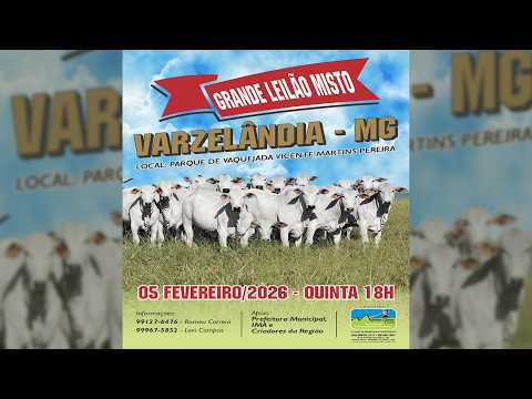 Leilão de Gado - Grande Leilão Misto Varzelândia MG