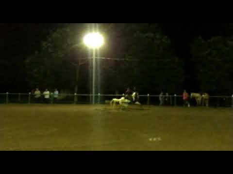 Cashemere O'ler  campeã cat. Aberta em Carlos Chagas MG.