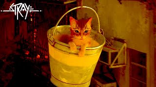 こんなにリアルな「猫になれるゲーム」って他にある? - Stray Part2