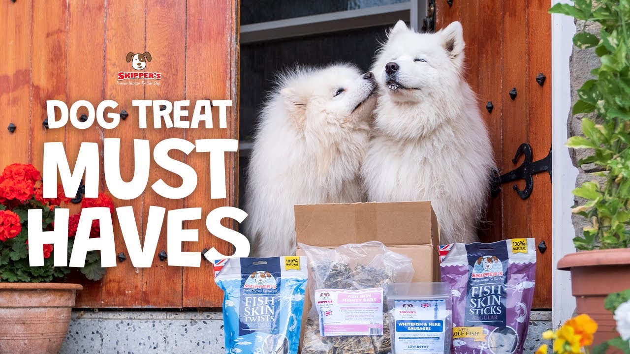 Why This Skipper's Bundle Is a Game Changer for Dogs