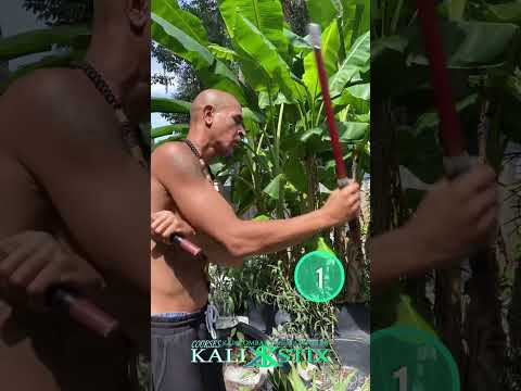 Heaven 6: switch Redonda Strike Pattern: How to Filipino Martial Arts double Weapons Drill Pattern