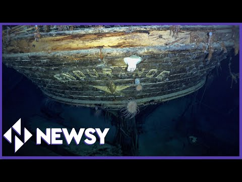 After A Century, Explorer Ernest Shackleton's 'Endurance' Ship Finally Found