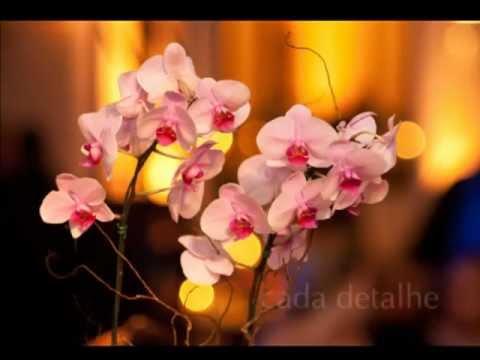 Galeria das Flores - Há 29 anos transformando sonhos em realidade...