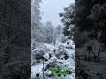 Snowflake Snow January Winter Snowflakes Frozen Snowing Cold Garden Snowfall Android