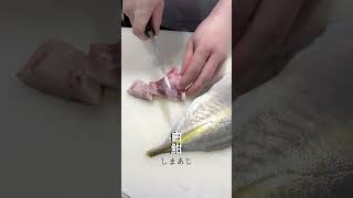 【寿司職人】シマアジ縞鯵のさばき方|台北壽司店 #sashimi #nigiri #sushibar #sushilife #taipei