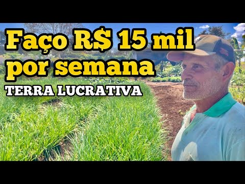 , title : 'A TERRA LUCRATIVA DE SÔ NENEM | FAÇO ATÉ 15 mil POR SEMENA  NESSA TERRINHA'