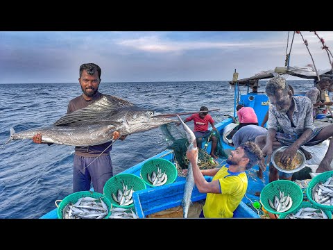 WOW‼️Epic Deep Sea Fishing Adventure: Unbelievable Catch of the Day💢‼️